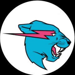 Mr Beast Fanpage