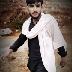 Mr Hamza