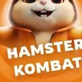 HAMSTER KOMBAT