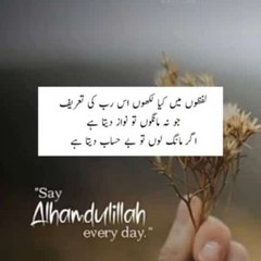 Awais Aamir
