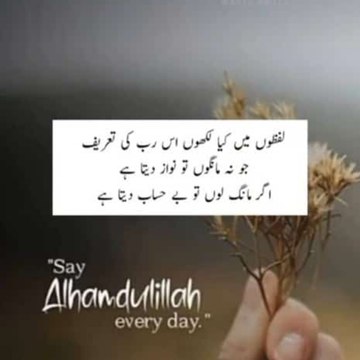 Awais Aamir