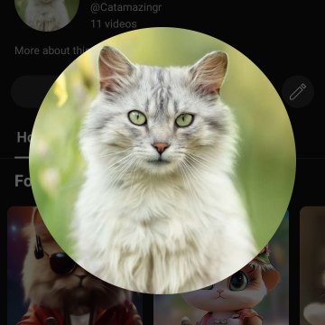 Cat lovers