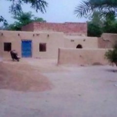 رنگ پنجاب دے