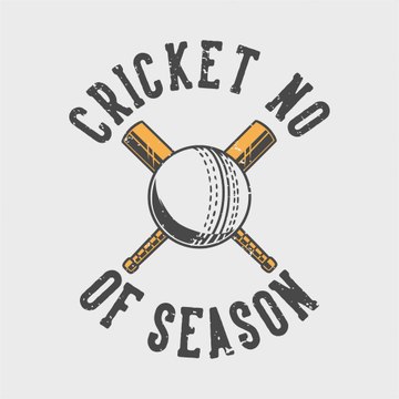 cricket vibe