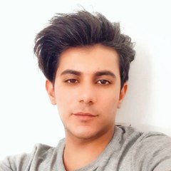 hesam fouladian