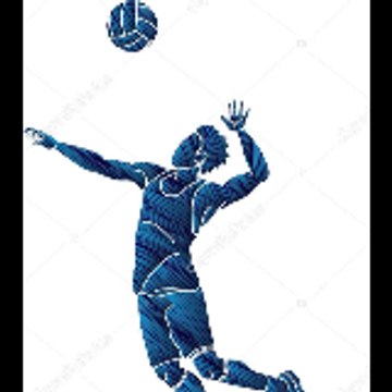 vollyball