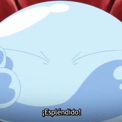 Pancho506