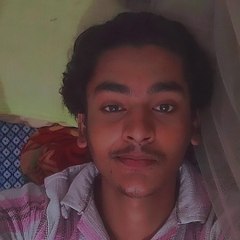 Daily trend