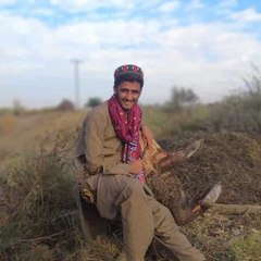 MUHAMMAD HAROON