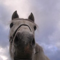 julie-merlin