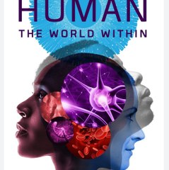 HUMAN WORLD