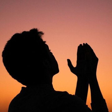 Shaik's Islamic way