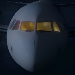 Aviation Disaster