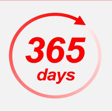 365 Days