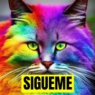 GILBERTO ENCISO ENTRETENIMIENT0