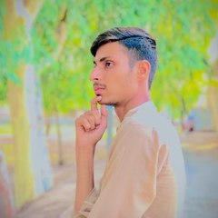Hamza  Rajput