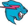 mrbeastlover