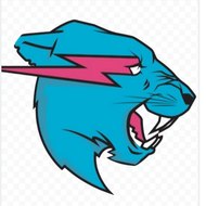 MR beast