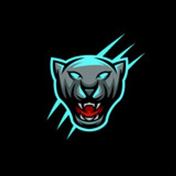 MrBeeast Videos
