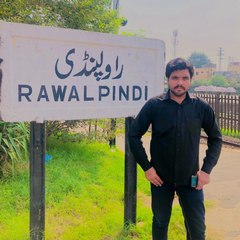 Malik hamza