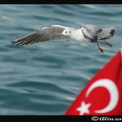YAHYASARAY