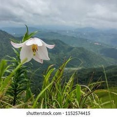 kumarlamthaka142