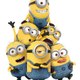 Crazy Crew