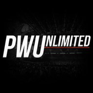 Pro Wrestling Unlimited