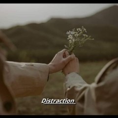 Distraction