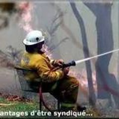 sylvain