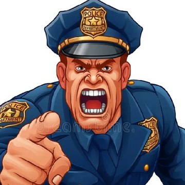 Police Bodycam USA