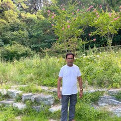 Maqsood Chattha