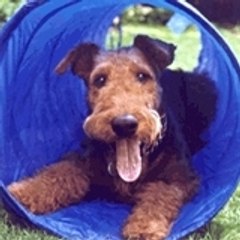 paolo