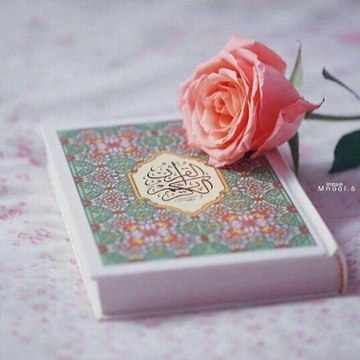 Islamic Tv