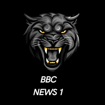 BBC news1