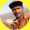 Naya Savira fishing
