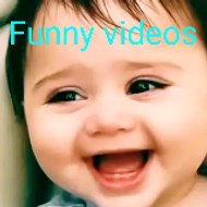 Funny videos