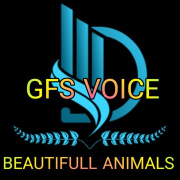 GFS VOICE