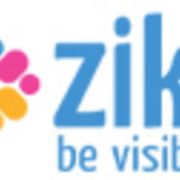 The Ziki Video Team