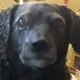 Millie & Bub's Channel