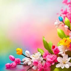 Happy