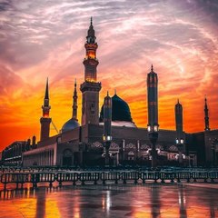 Usman 7784 7784
