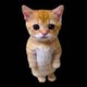 caty memes