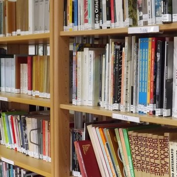 Teologia e estudos