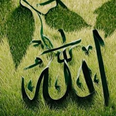 QURAN Tilawat