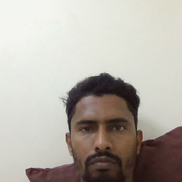 Golden Rashid