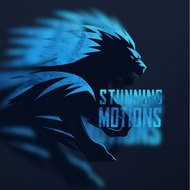 StunningMotions