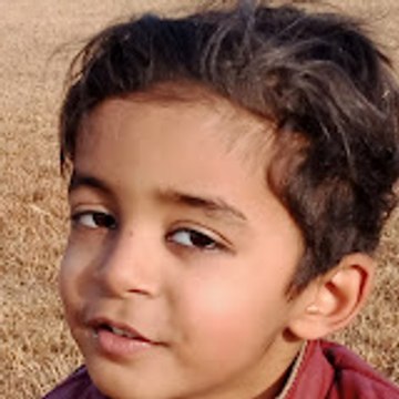 aneesrazajafri