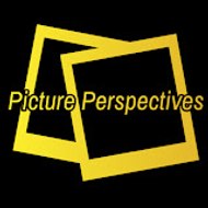 Picture Perspectives