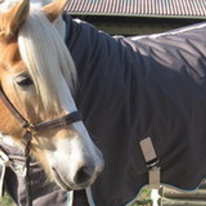 Dailymotion profile picture for @Octavia